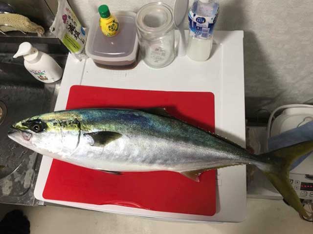 自炊