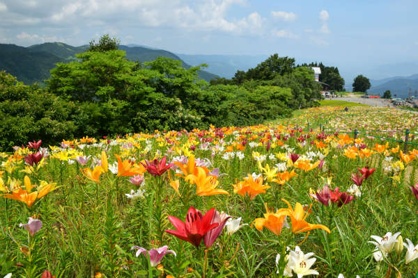 越後湯沢