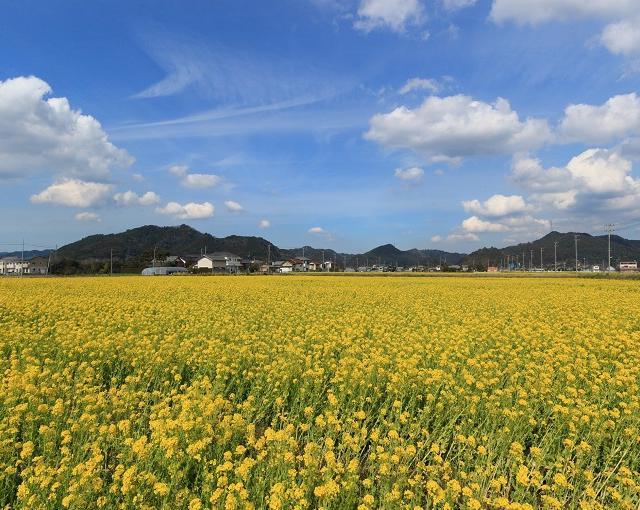 鴨川の住み込みリゾートバイト（ホテルのお仕事）の画像４