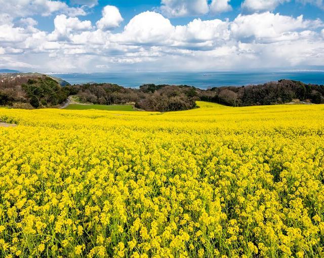 淡路島の住み込みリゾートバイト（ホテルのレストランなど）の画像２