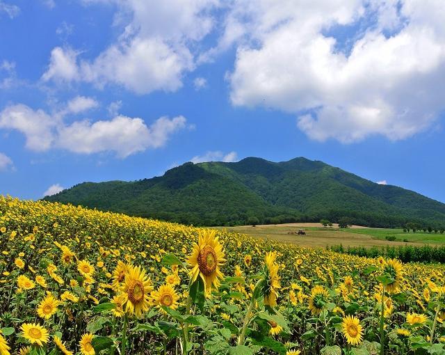 蒜山高原の住み込みリゾートバイト（ホテルのお仕事）のサブ画像２