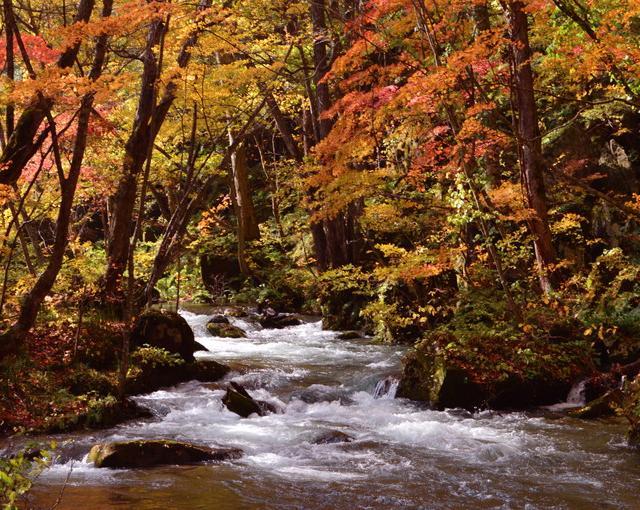 十和田湖の住み込みリゾートバイト（ホテルの調理）の画像４