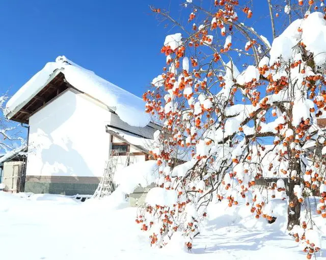 会津高原の住み込みスキー場バイト（スキー場のリフト係、チケット販売など）の画像４