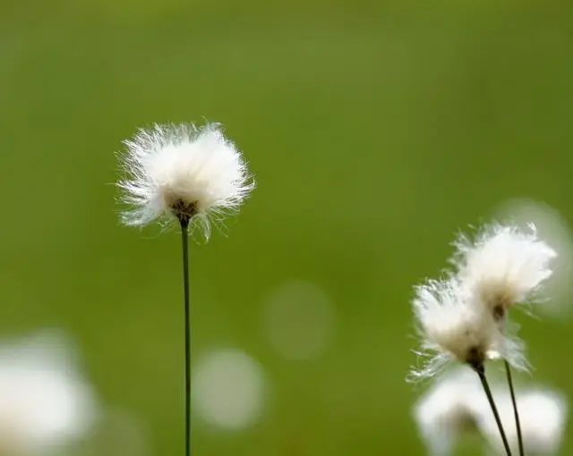 【ホテルのお仕事】