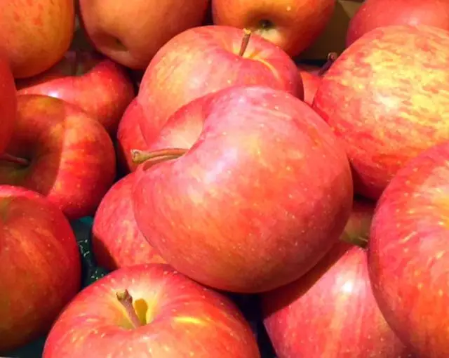 志賀高原の住み込みリゾートバイト（ホテルの全般業務、フロントなど）の画像３