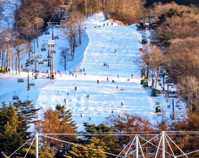 軽井沢の住み込みスキー場バイト（リフト・レンタル・サービスなど）の画像５