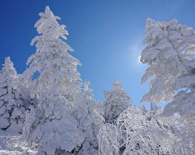 志賀高原の住み込みスキー場バイト（ホテルのフロント、調理補助など）の画像２