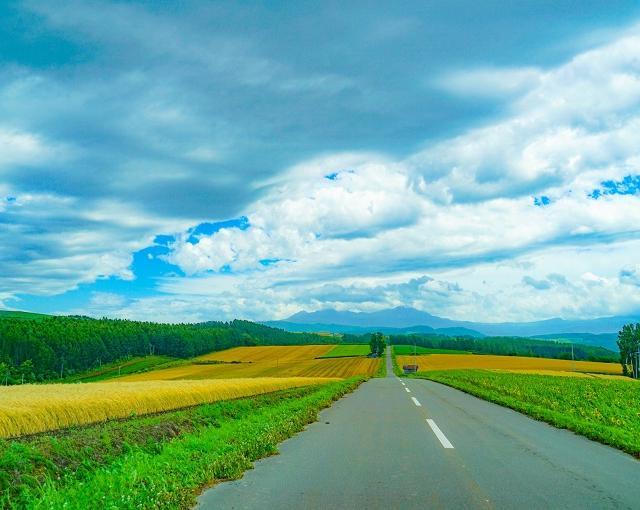 平取町の住み込みリゾートバイト（ホテルのレストラン、グランピング）の画像３