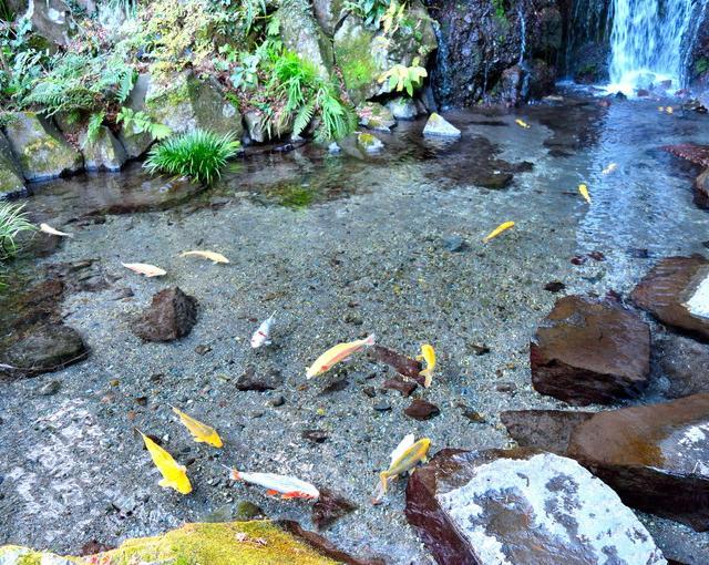 箱根の住み込みリゾートバイト（旅館のフロント、裏方）の画像３