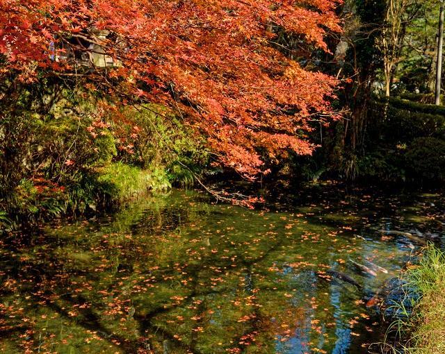 長門湯本の住み込みリゾートバイト（旅館のレストラン・フロントのお仕事）のサブ画像３