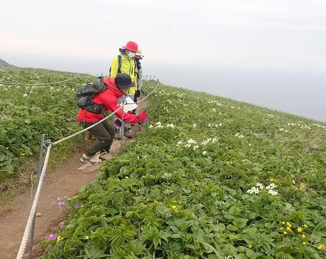 礼文島の住み込みリゾートバイト（トレッキングガイド）の画像２