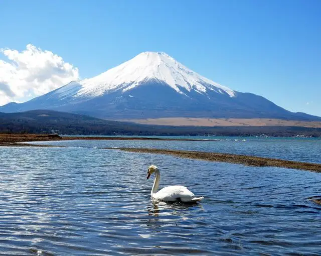 山中湖の住み込みリゾートバイト（ホテルのレストラン、ベルなど）の画像２