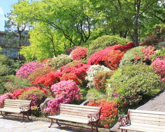 箱根の住み込みリゾートバイト（旅館の全般業務）の画像３