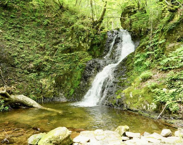 高山の住み込みリゾートバイト（ホテルのレストラン、調理補助）の画像３