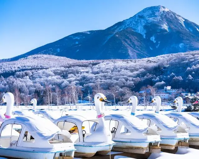 白樺湖の住み込みスキー場バイト（ホテルのフロント、スキーレッスン）の画像４