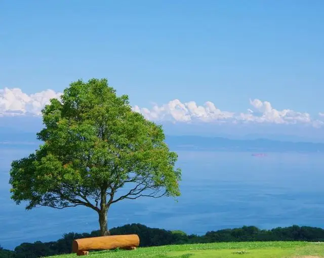 【旅館のお仕事】