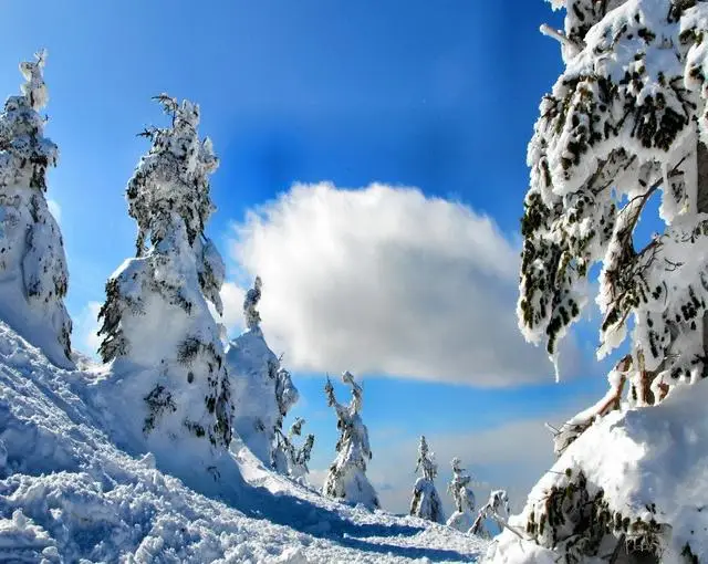 蔵王の住み込みスキー場バイト（旅館のレストラン、清掃など）の画像２