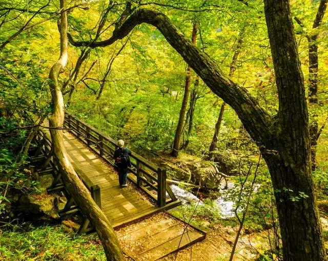栃木県/鬼怒川の【ホテルのお仕事】