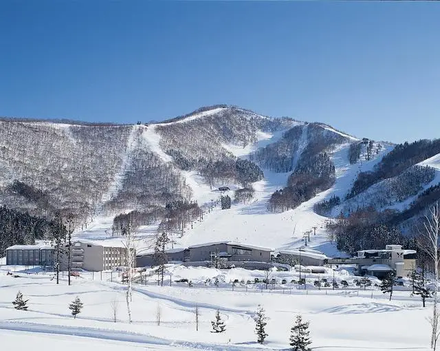 斑尾の住み込みスキー場バイト（スキー場のリフト、アクティビティなど）の画像４