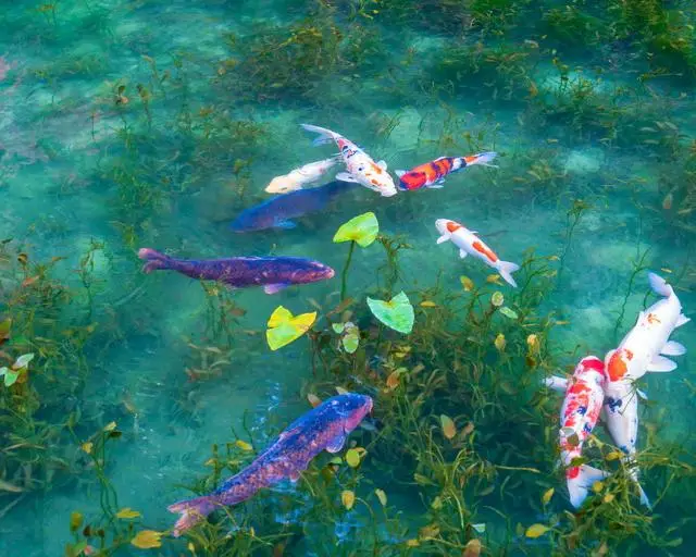 箱根の住み込みリゾートバイト（旅館のお仕事）の画像３