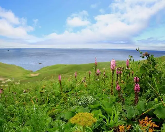 礼文島の住み込みリゾートバイト（ホテルのお仕事）の画像５