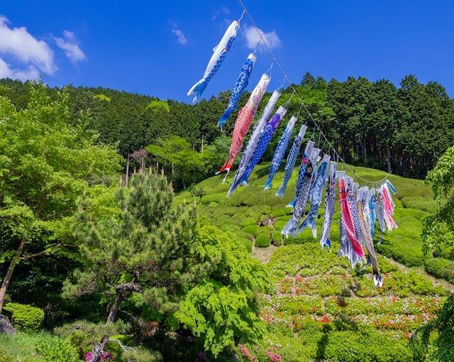熱海の住み込みリゾートバイト（旅館のレストラン・フロントなど）の画像３