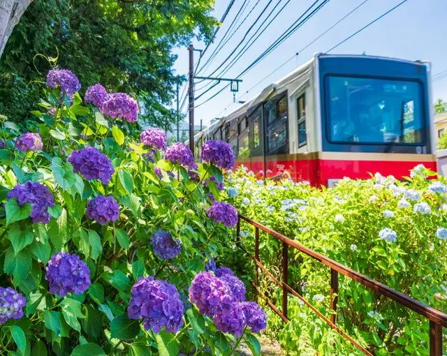 【ホテルのお仕事】