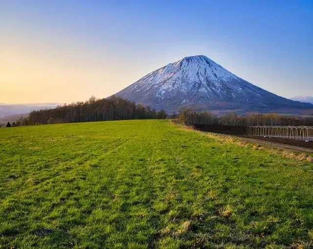 北海道/ニセコの【飲食店のお仕事】