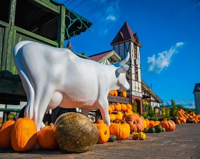 ニセコの住み込みリゾートバイト（飲食店でのレストランのお仕事）の画像４