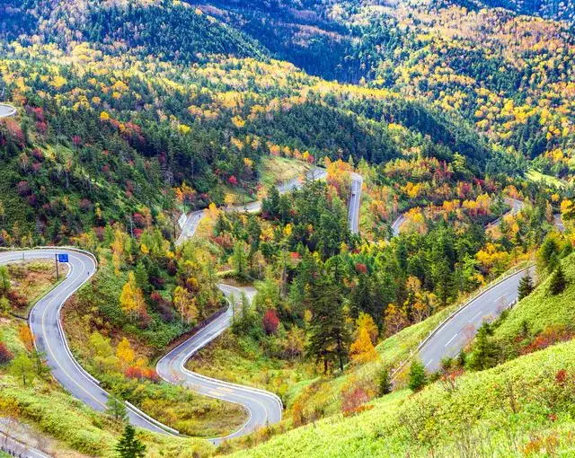 嬬恋高原の住み込みリゾートバイト（ホテルのレストラン、調理など）の画像４