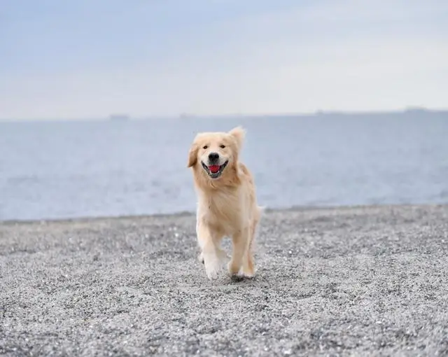 【旅館のお仕事】