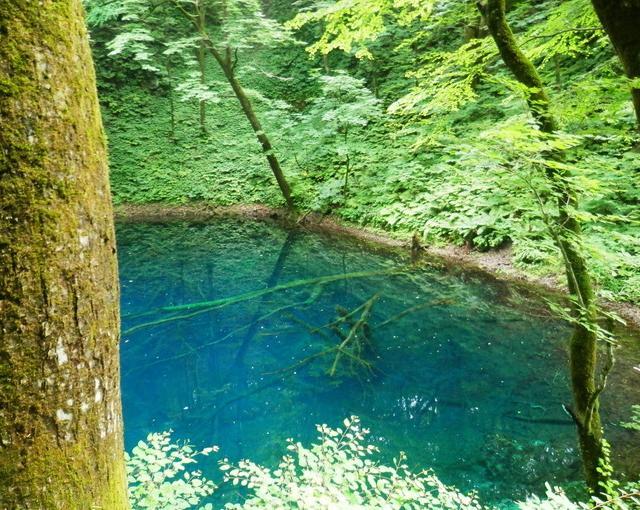 十和田湖の住み込みリゾートバイト（ホテルの全般業務、裏方など）の画像３