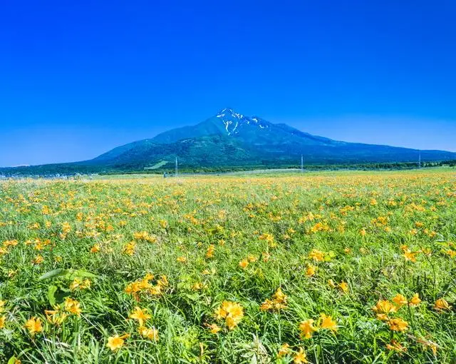 利尻島の住み込みリゾートバイト（旅館のお仕事）のサブ画像１