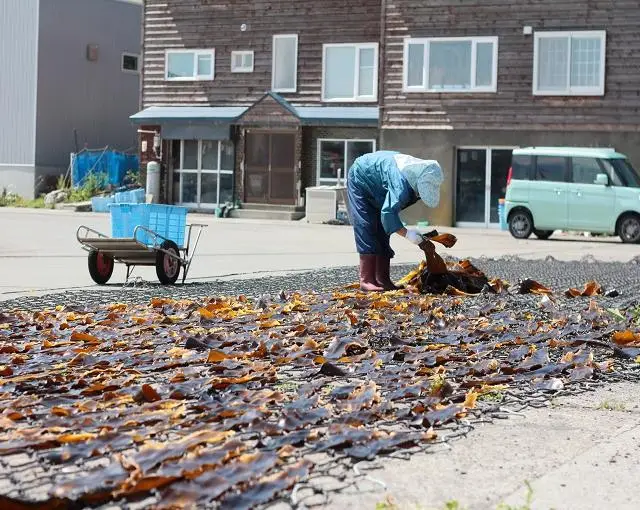 利尻島の住み込みリゾートバイト（ホテルの全般業務）のサブ画像２