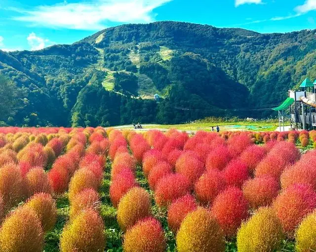 【旅館のお仕事】