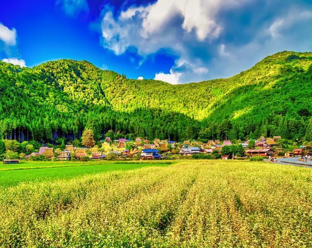 美山の住み込みリゾートバイト（旅館の全般業務）の画像４