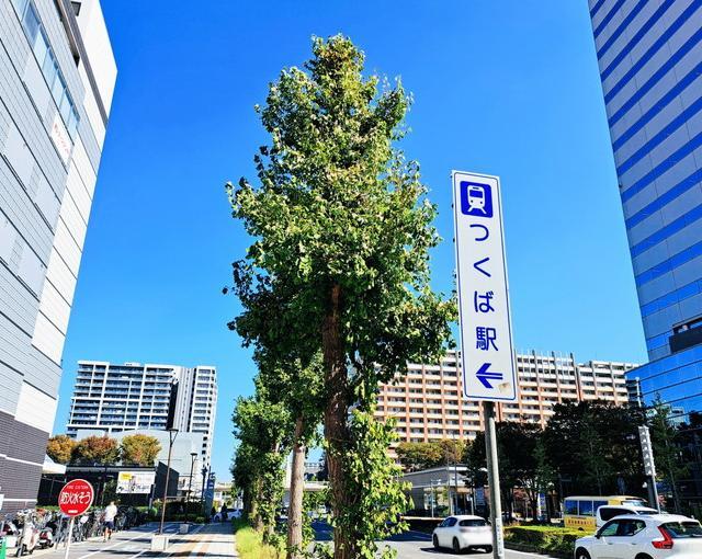 つくばの住み込みリゾートバイト（アクティビティ施設での全般業務など）の画像３