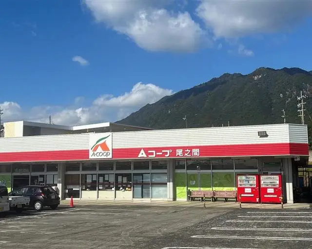 屋久島の住み込みリゾートバイト（ホテルのフロントなど）のサブ画像４