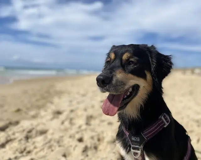 【ホテル・コンドミニアムのお仕事】