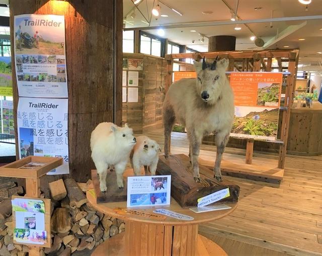 白馬の住み込みスキー場バイト（スキー場のレストラン、キッチンなど）の画像３