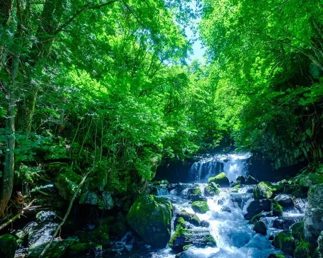 【ホテルのお仕事】