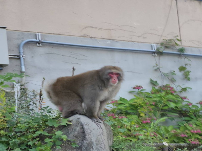 白馬の住み込みスキー場バイト（ホテルでのフロント業務など）のサブ画像２