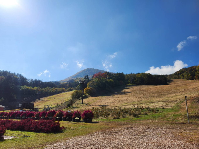 みなかみの住み込みスキー場バイト（スキー場のレストラン）の画像４