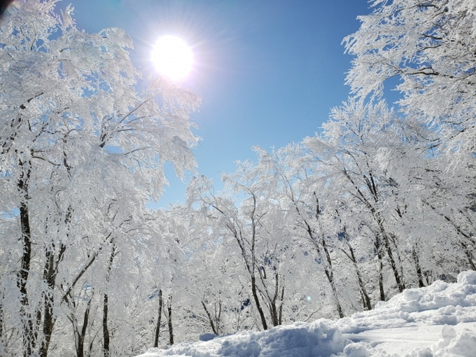 白樺湖の住み込みスキー場バイト（ホテルのレストラン、客室準備）の画像２