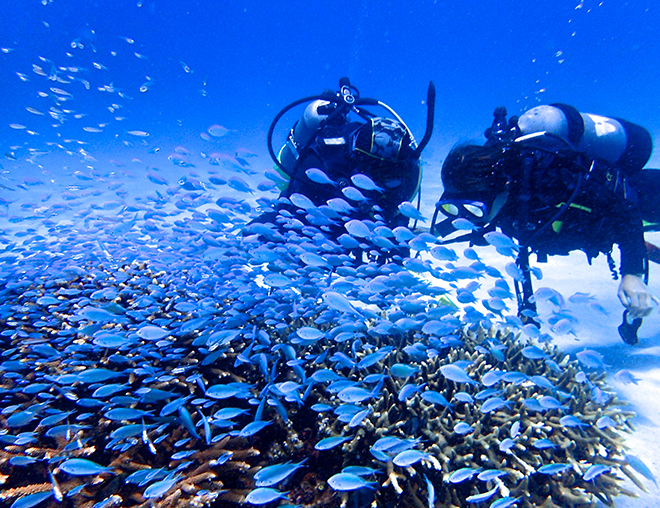 渡嘉敷島の住み込みリゾートバイト（ホテルのお仕事）のサブ画像１