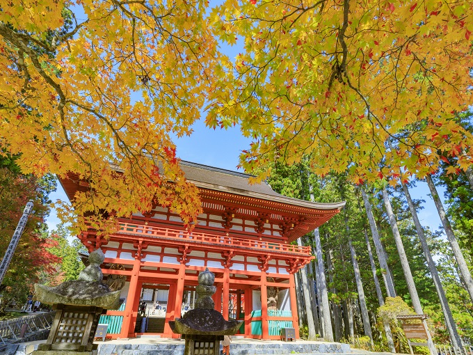 高野山
の住み込みリゾートバイト（宿坊の調理補助）のサブ画像２