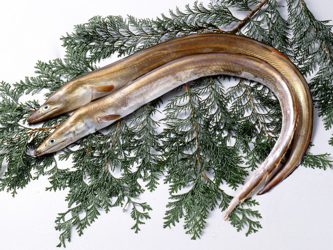 淡路島の住み込みリゾートバイト（飲食店での調理のお仕事）の画像３