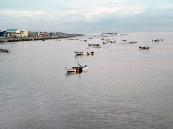 礼文島の住み込みリゾートバイト（水産のお仕事）のサブ画像２