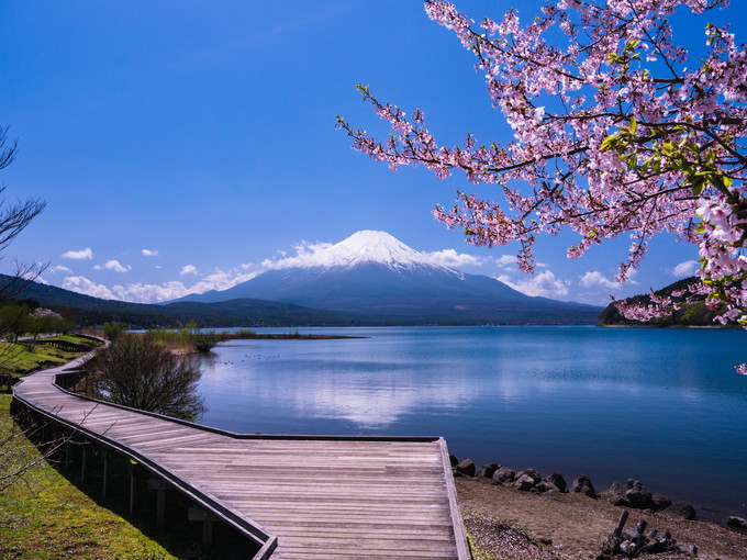 山梨県/山中湖の【ホテルのお仕事】