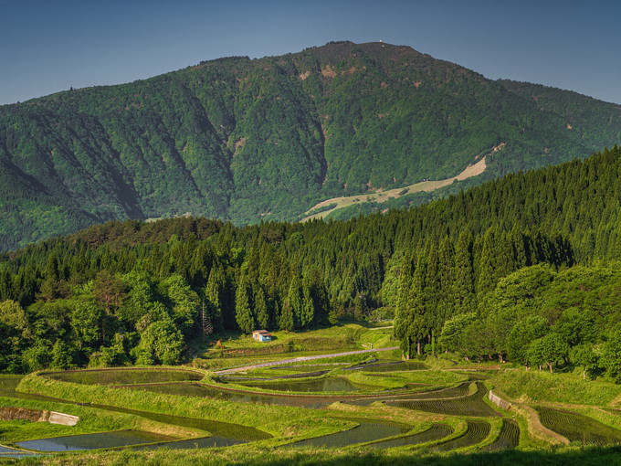 【宿泊施設のお仕事】